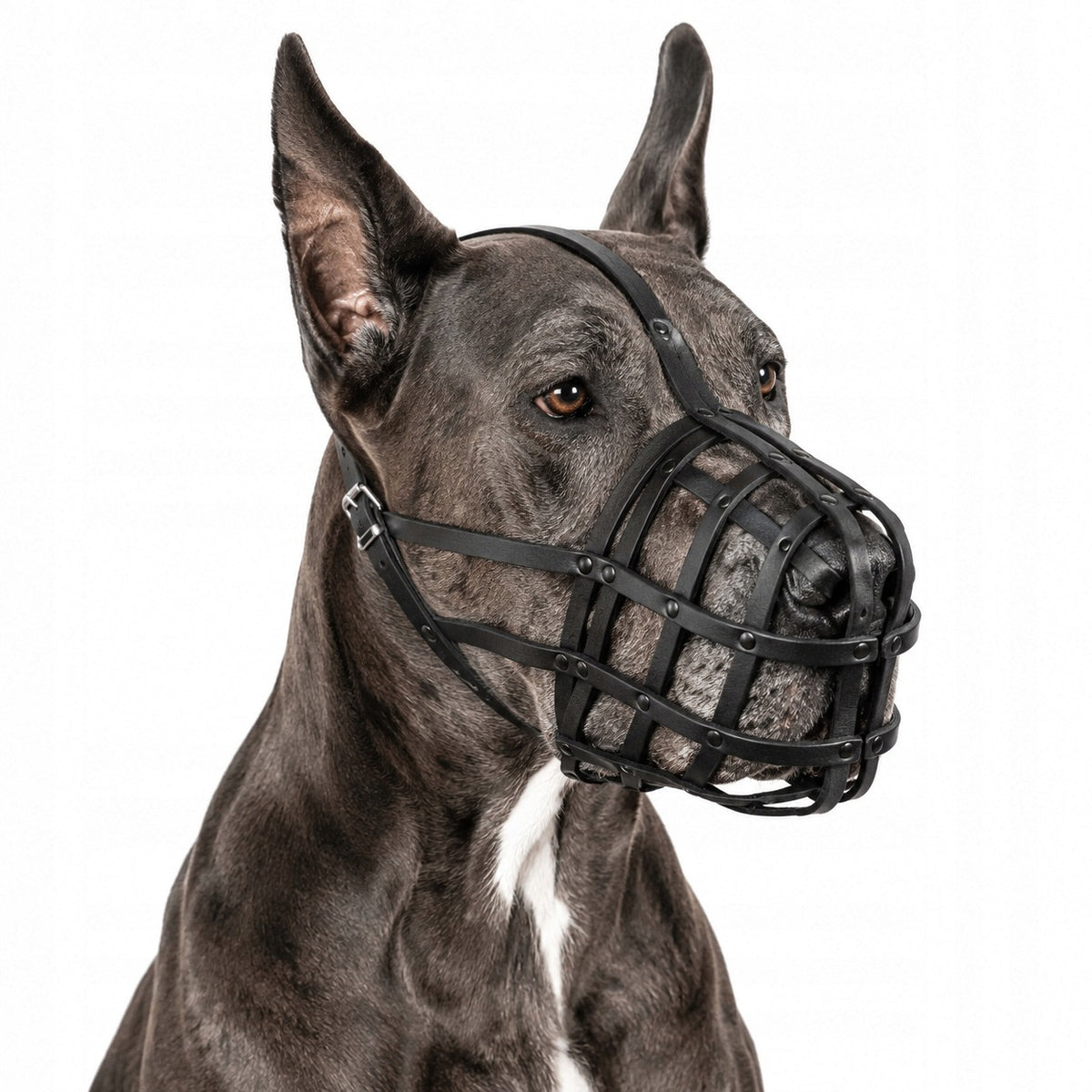 LEATHER MUZZLE FOR DOG LARGE DOG RIVETED BLACK R.37