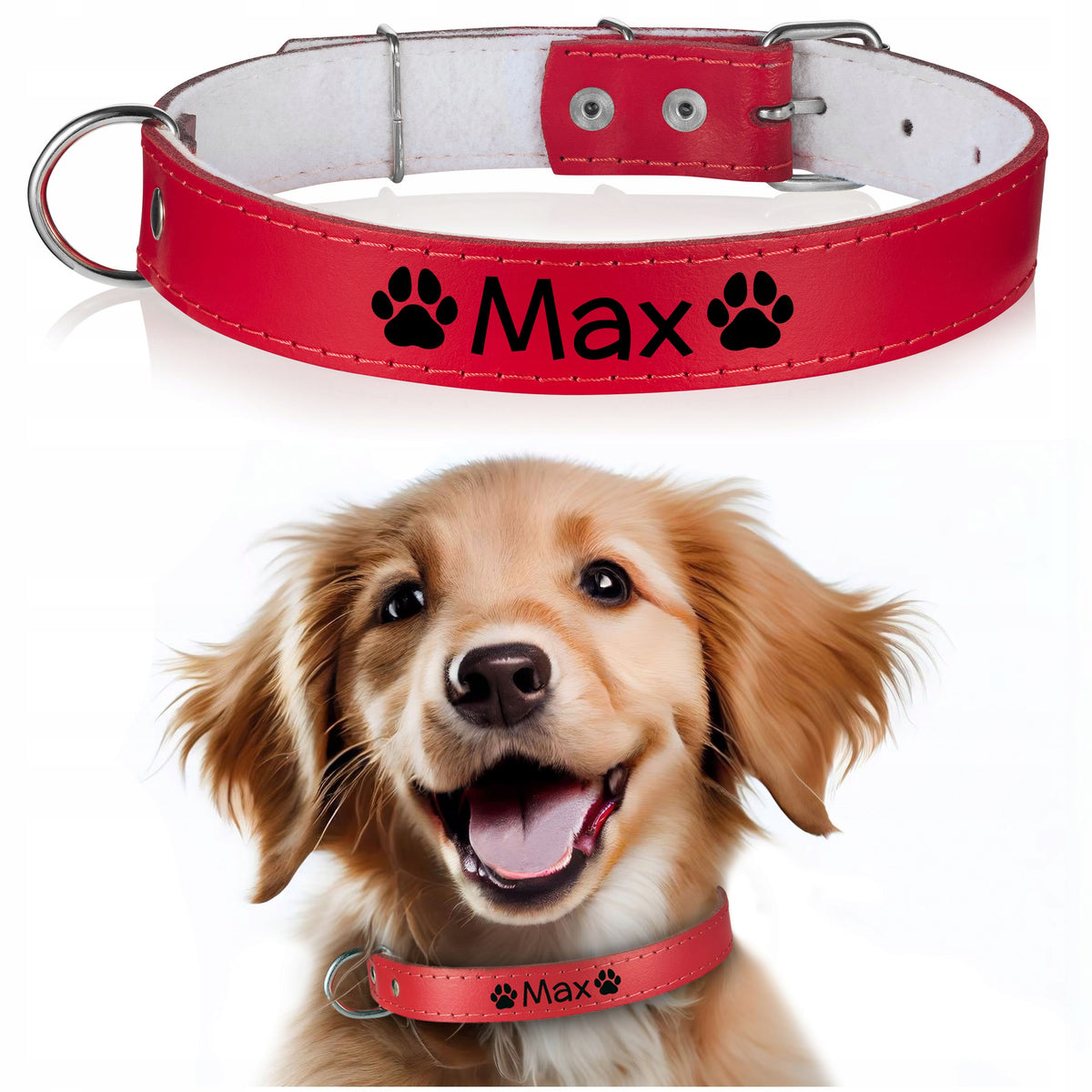 LEATHER dog collar FREEBIE engraving 30/70cm R9
