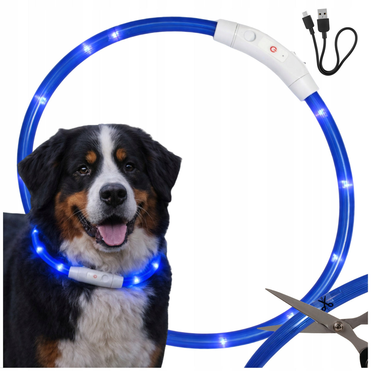 LED CAT DOG GLOW COLLAR ADJUSTABLE USB Waterproof BLUE