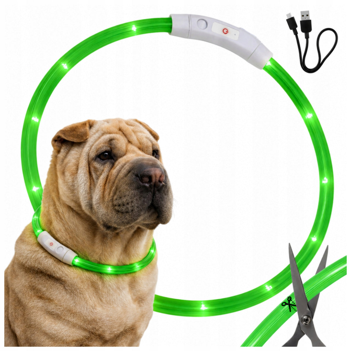 LED DOG GLOW COLLAR ADJUSTABLE USB Waterproof GREEN Night Walk