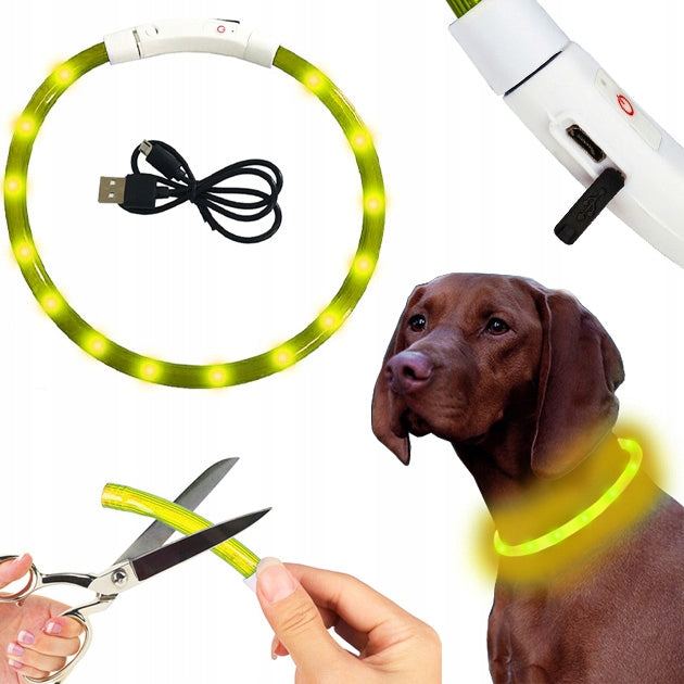 LED GLOWING COLLAR FOR CAT DOG ADJUSTABLE USB waterproof walk night winter