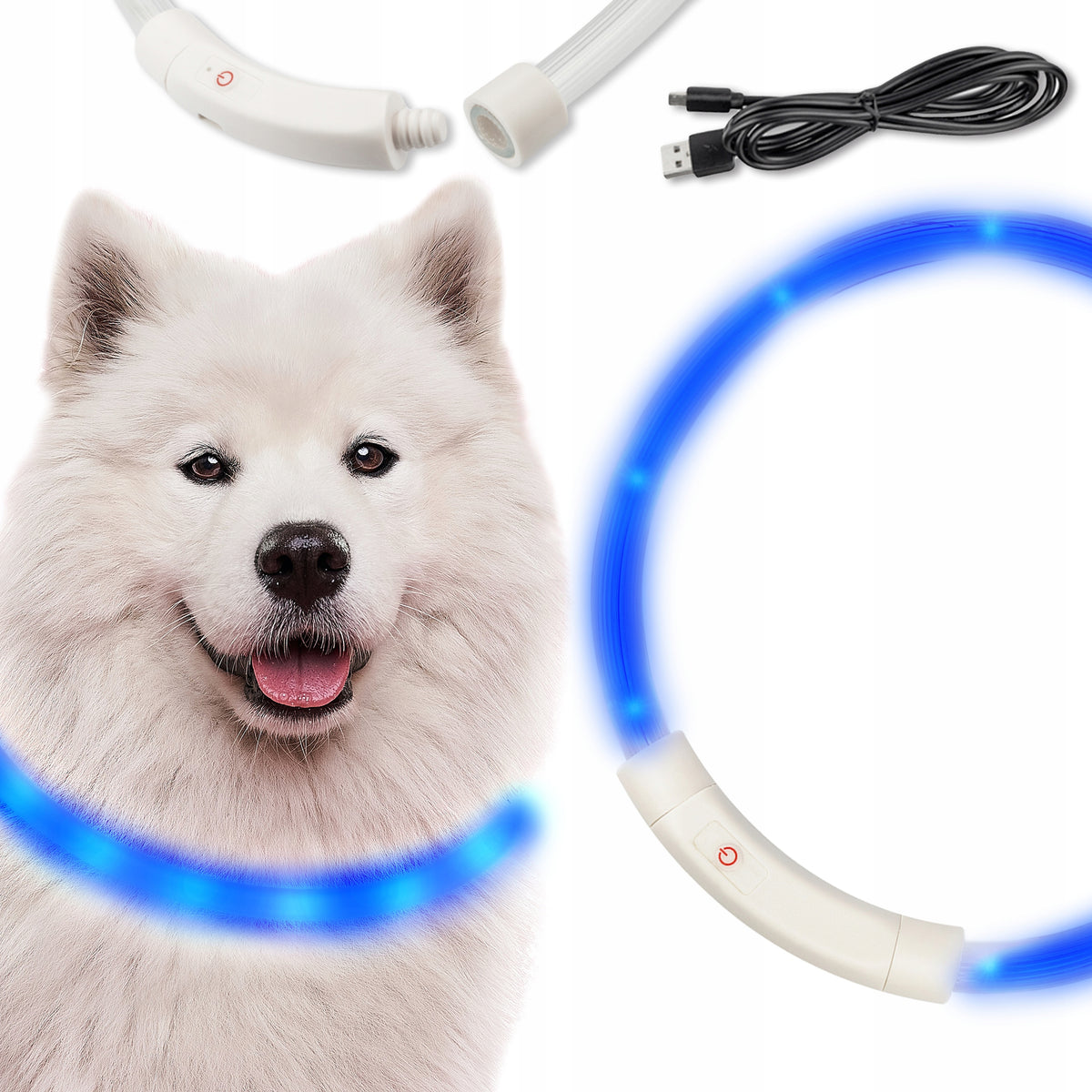 LED GLOWING COLLAR FOR DOG AND CAT with adjustable 70 cm + USB