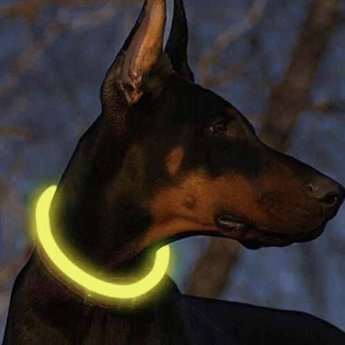 LED glow collar- adjustable Purlov USB Manufacturer code 00024200