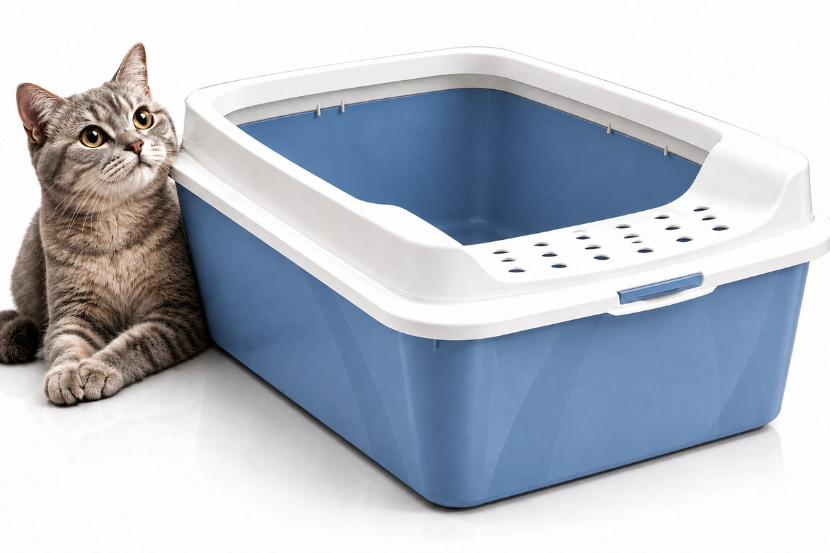 Large Open Cat Cuvette Rotho BONNIE Blue Cuvette with Gravel Frame