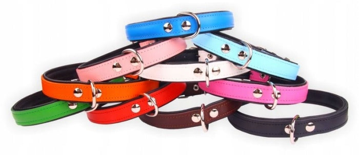 Leather collar Super 30mm/63cm solid WHITE Manufacturer code 000202
