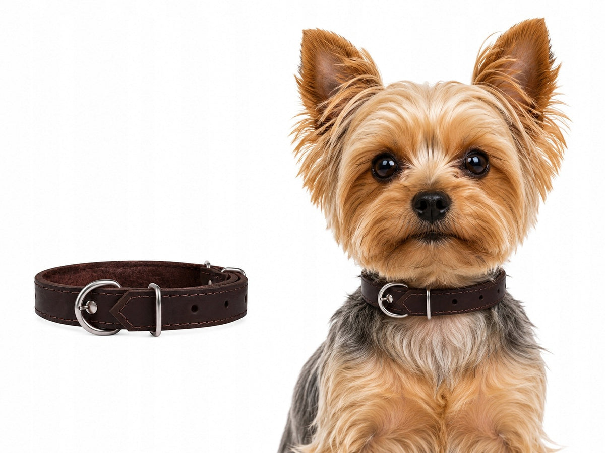 Leather collar for dog |CHABA| Brown
