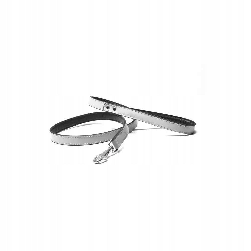 Leather leash for dog