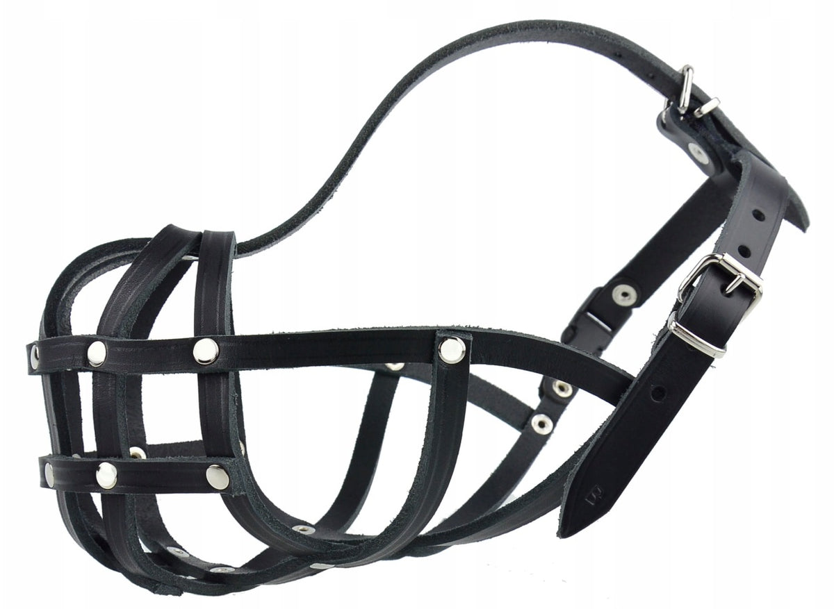Leather muzzle for Dog Champion Boxer B4 37/5cm