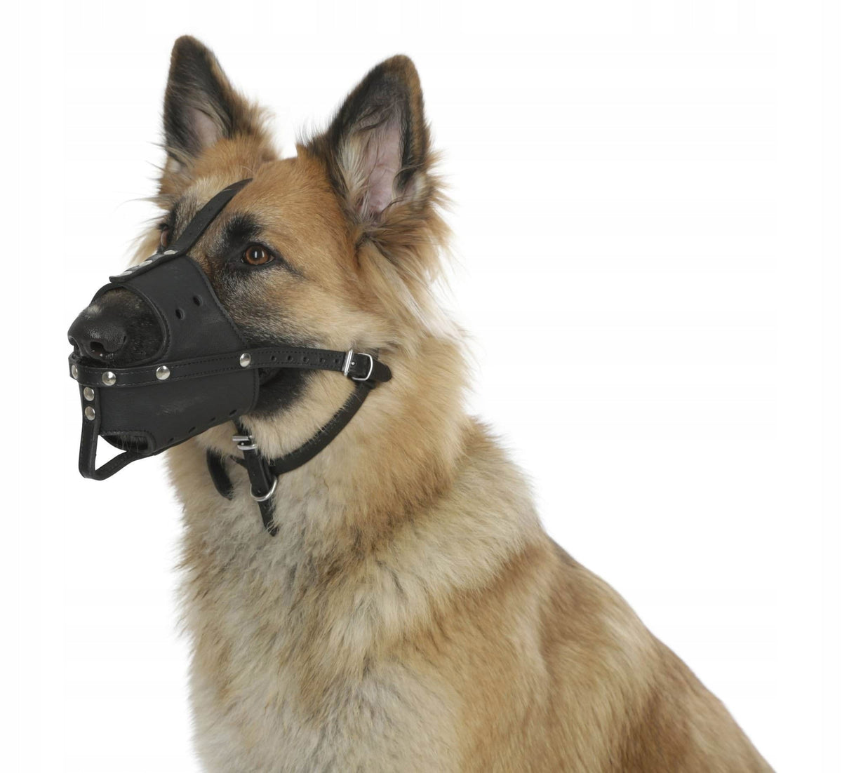 Leather muzzle for dog, 38 cm x 11,5 cm, Kerbl