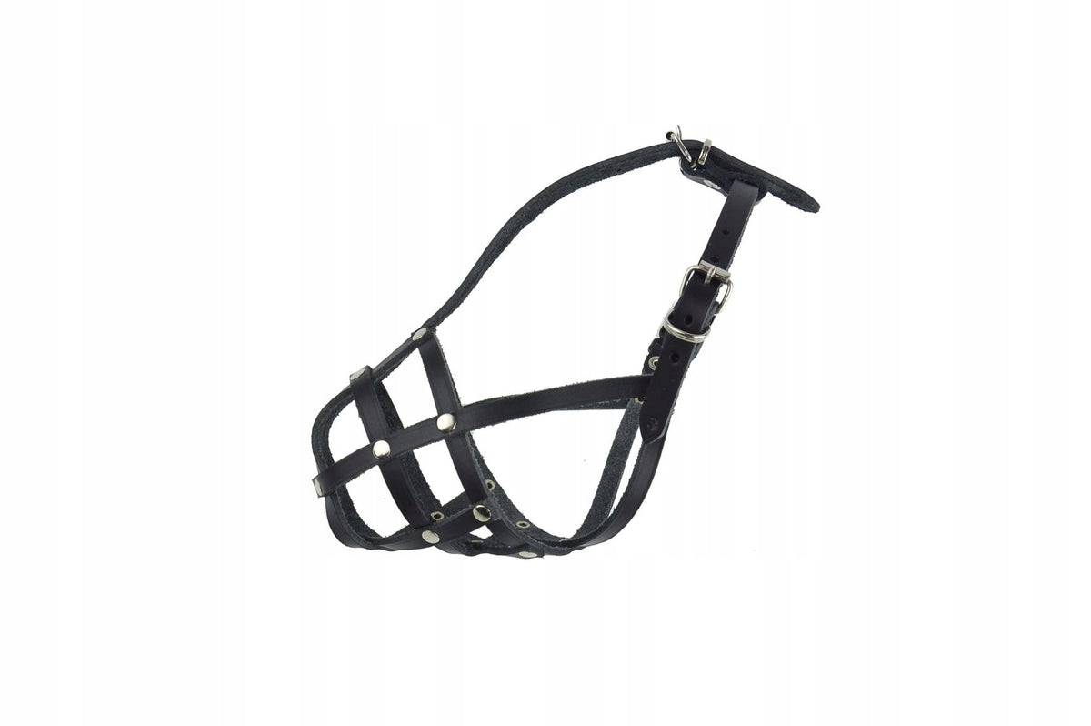 Leather muzzle for dog Champion PAPILLON sk3