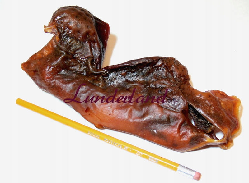 Lunderland dried beef teether 1 kg Flavor beef