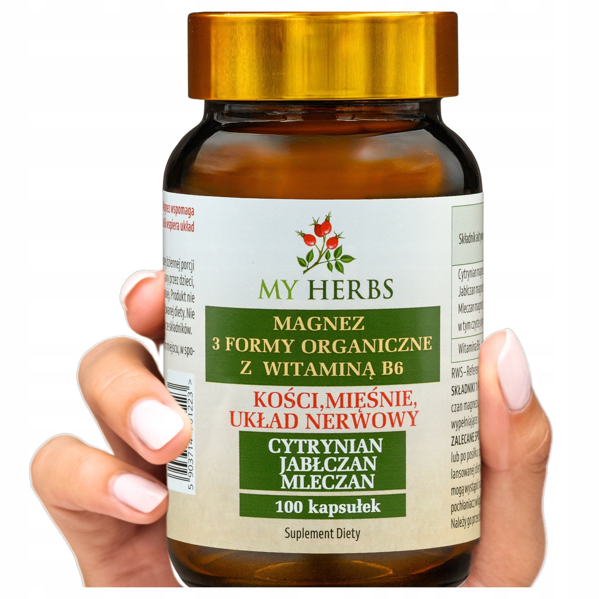 MAGNESIUM FROM B6 3 FORMS CITRATE LACTATE MALATE 100