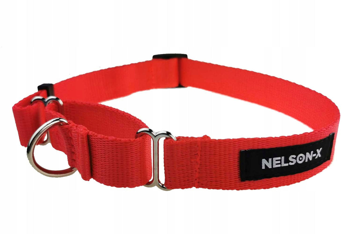 MARTINGALE COLLAR FOR DOG NELSON-X BASIC R. M