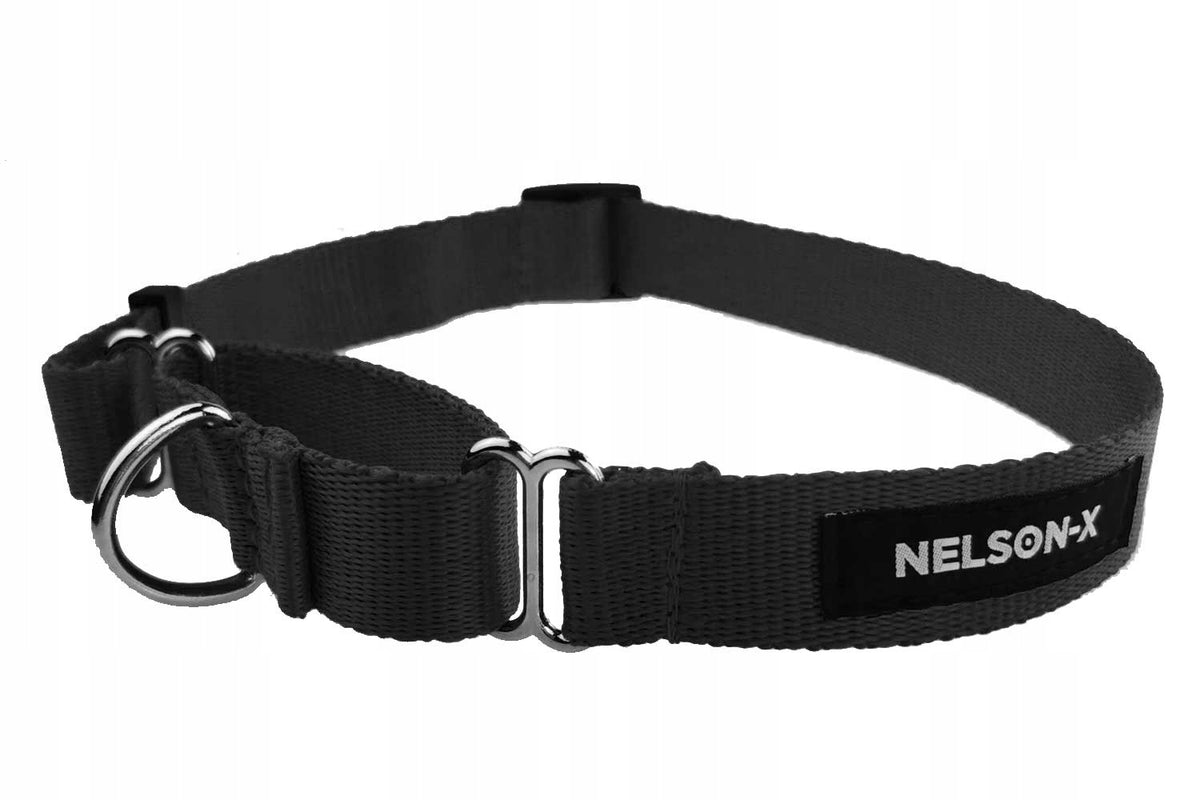MARTINGALE COLLAR FOR DOG NELSON-X BASIC R. S Manufacturer code MARTGINALE-BASIC-S