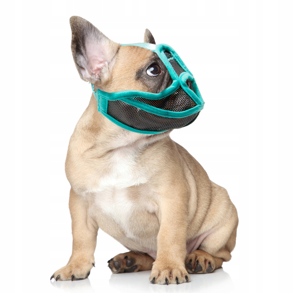 MATERIAL MUZZLE WITH DOG NET ADJUSTABLE VETERINARY L