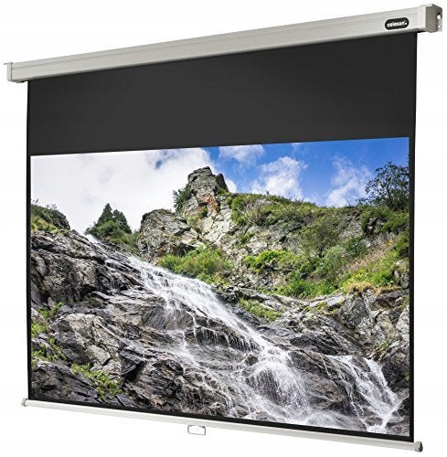 Manual screen Celexon Professional 240 cm 4:3
