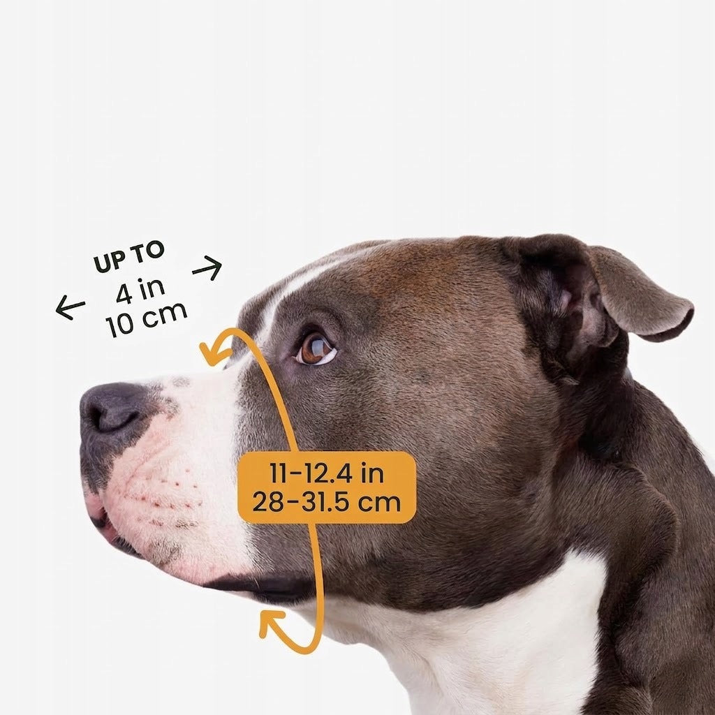 Metal muzzle for Amstaff/Pitbull Dog Manufacturer code B07MBPF7FQ