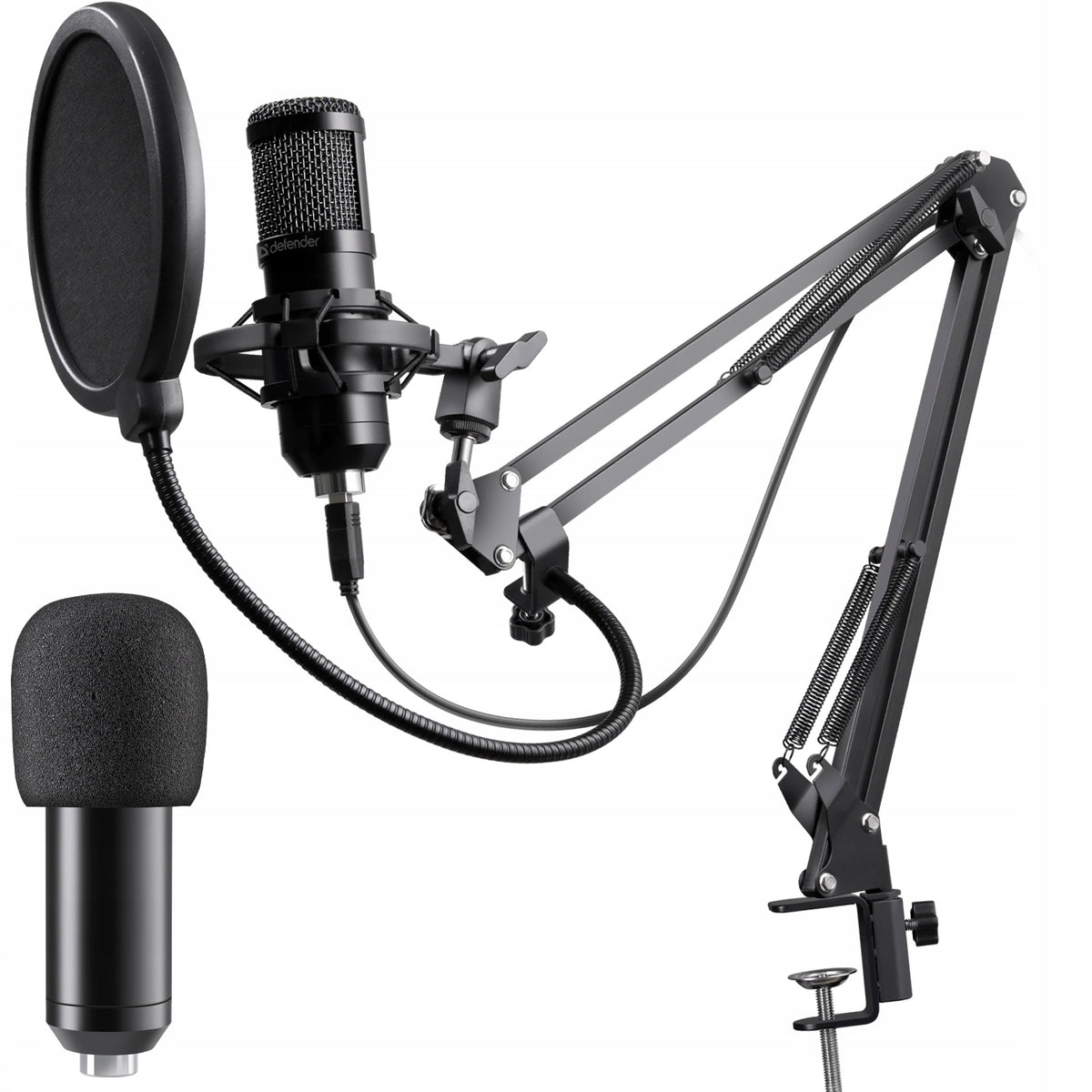Microphone Defender SPACE