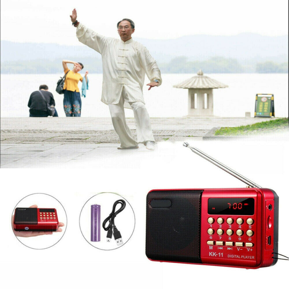 Miniature Portable FM Radio Speaker with LCD Display and USB Function