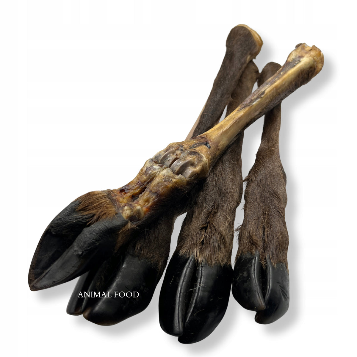 Natural Dog Teethers Treats Premium Racica Leg Deer 1pcs Flavor deer