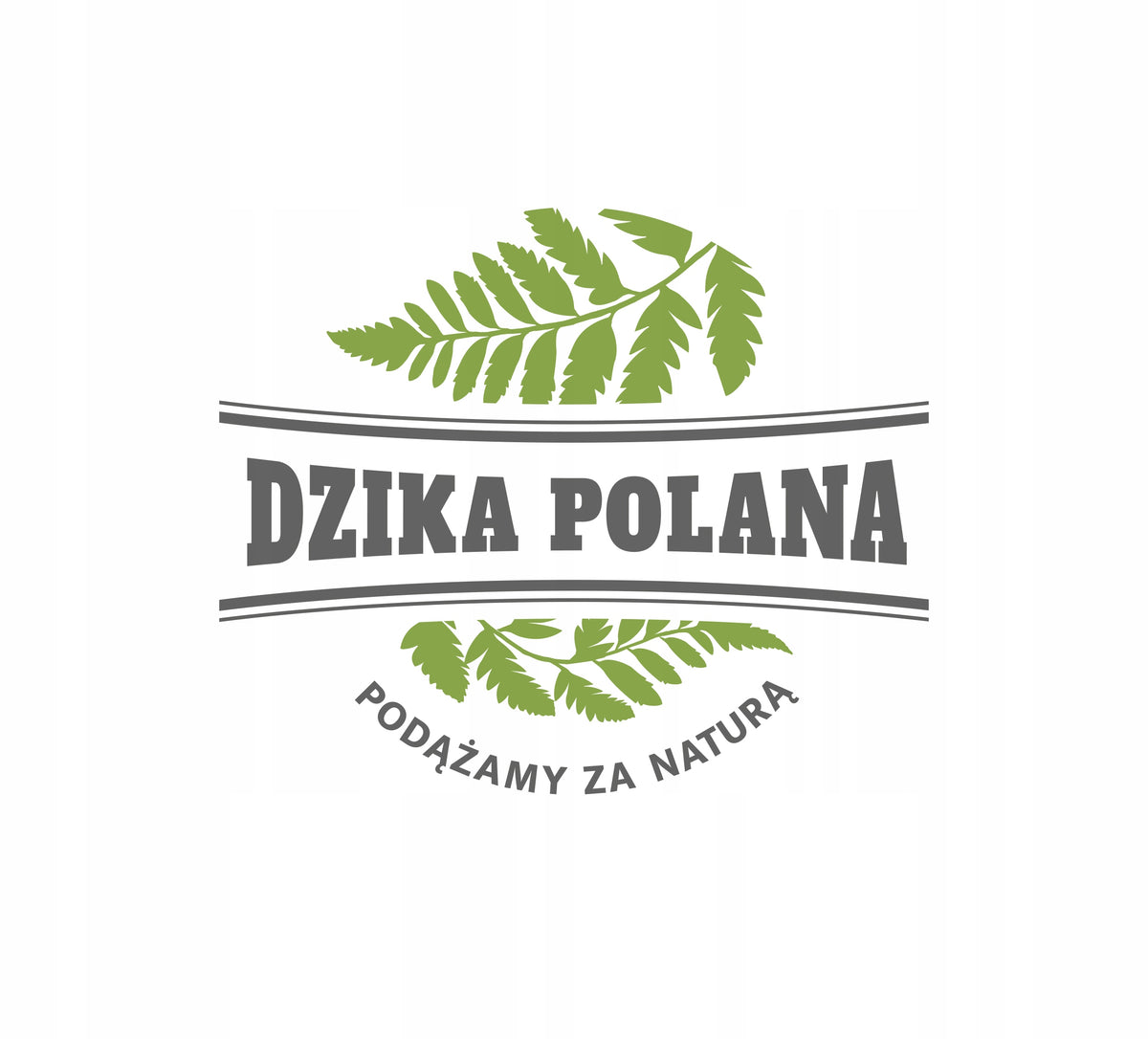 Natural treats for dogs Dzika Polana 500g Flavor beef