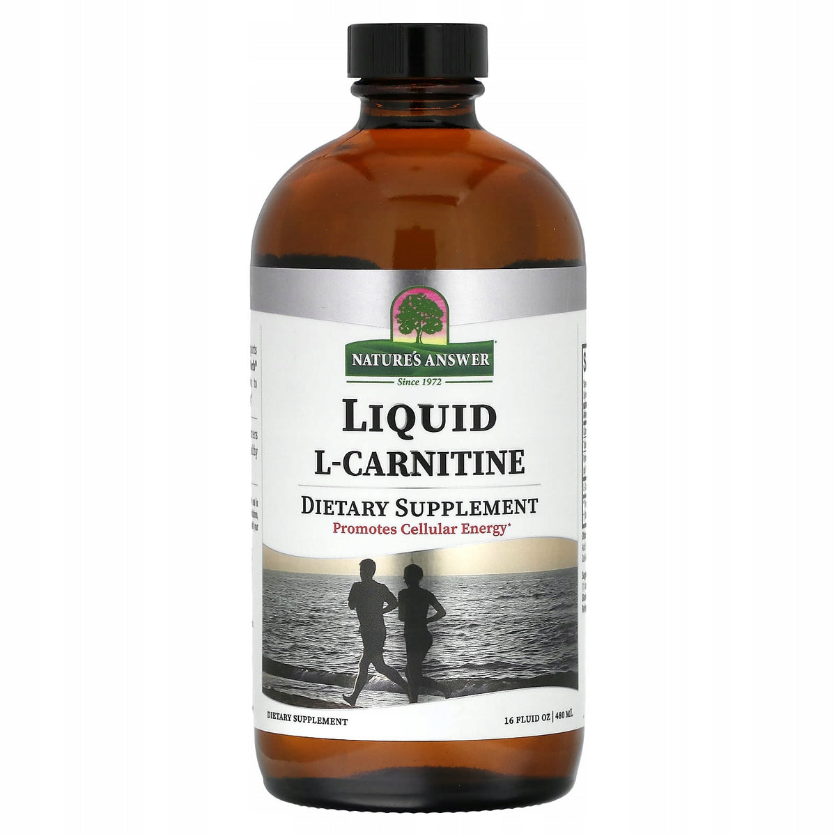 Nature's Answer, L-Carnitine Liquid, 480 ml