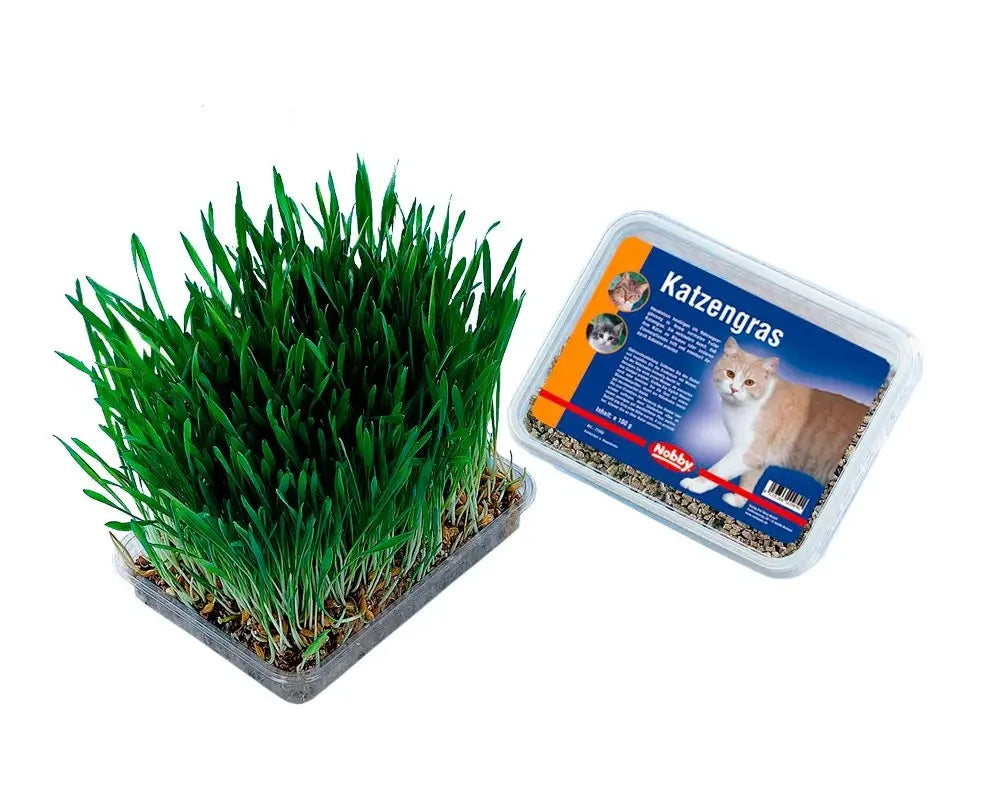 Nobby cat grass 100 g.