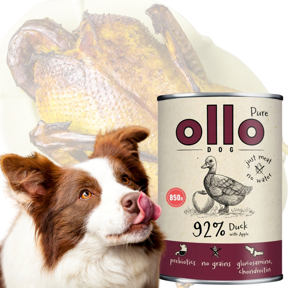 Ollo Pure Duck with Apple 400 g