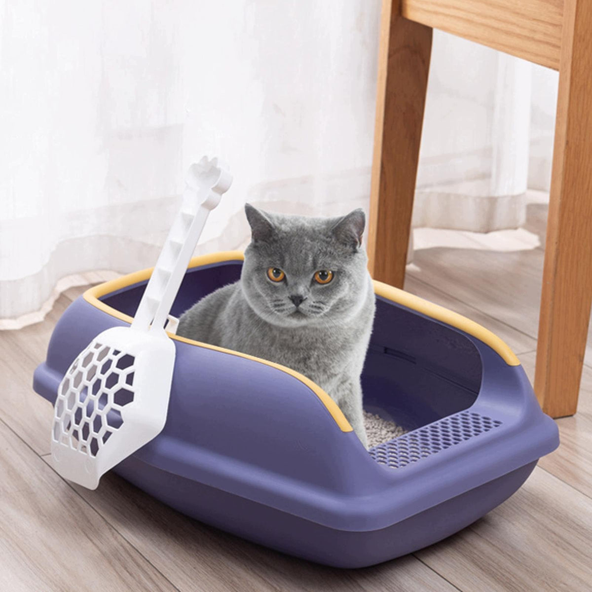 Open Top Cat Litter Box Cat Litter Container Easily Clean Kitten S Violet