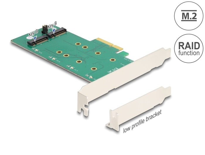PCIe x4 2x M.2 Key B card with RAID Low Profile Delock 89536