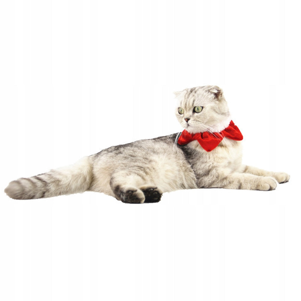 PET WINTER SOFT COLLAR Brand no brand