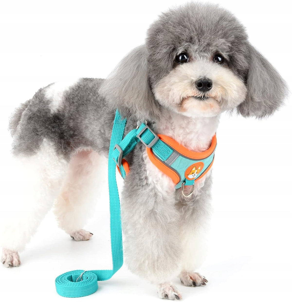 PRESSURE-FREE HARNESS FOR CAT DOG ADJUSTABLE+ LEASH ROZ. L Manufacturer code PB/GSZ