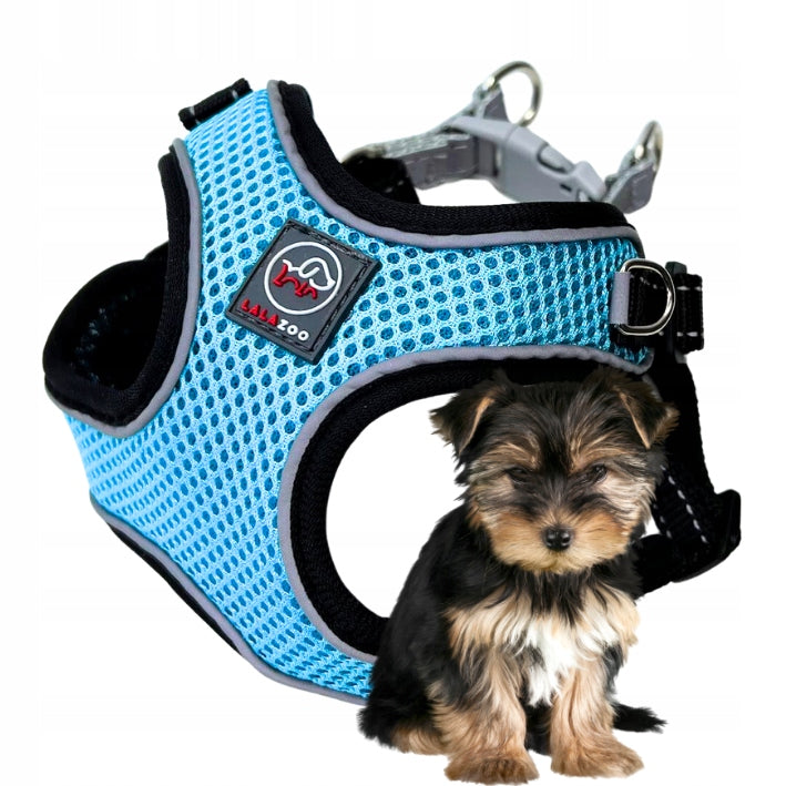 PRESSURE-FREE HARNESS FOR DOG BREATH BREEZE M blue