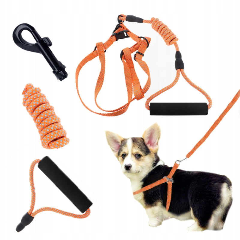 PRESSURE-FREE HARNESS FOR DOG SET LANYARD Size S