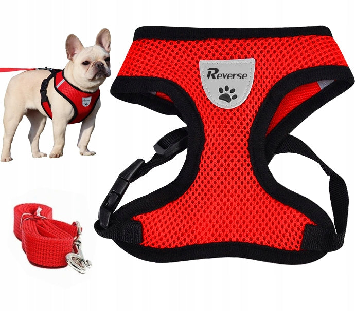 PRESSURE-FREE HARNESS FOR SMALL CAT DOG + LEASH r. M