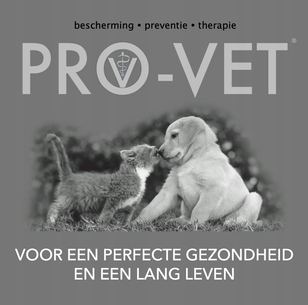 PRO-VET HyperSen Cat 3kg Manufacturer code PRO-VET