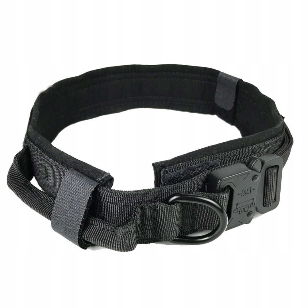 PROFESSIONAL TACTICAL COLLAR FOR LARGE DOG METAL BUCKLE STRONG M Packaging status original
