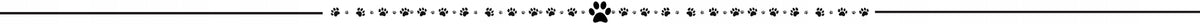 PROFESSIONAL TRAINING leash ADJUSTABLE CAR FOR DOG Manufacturer code E0061