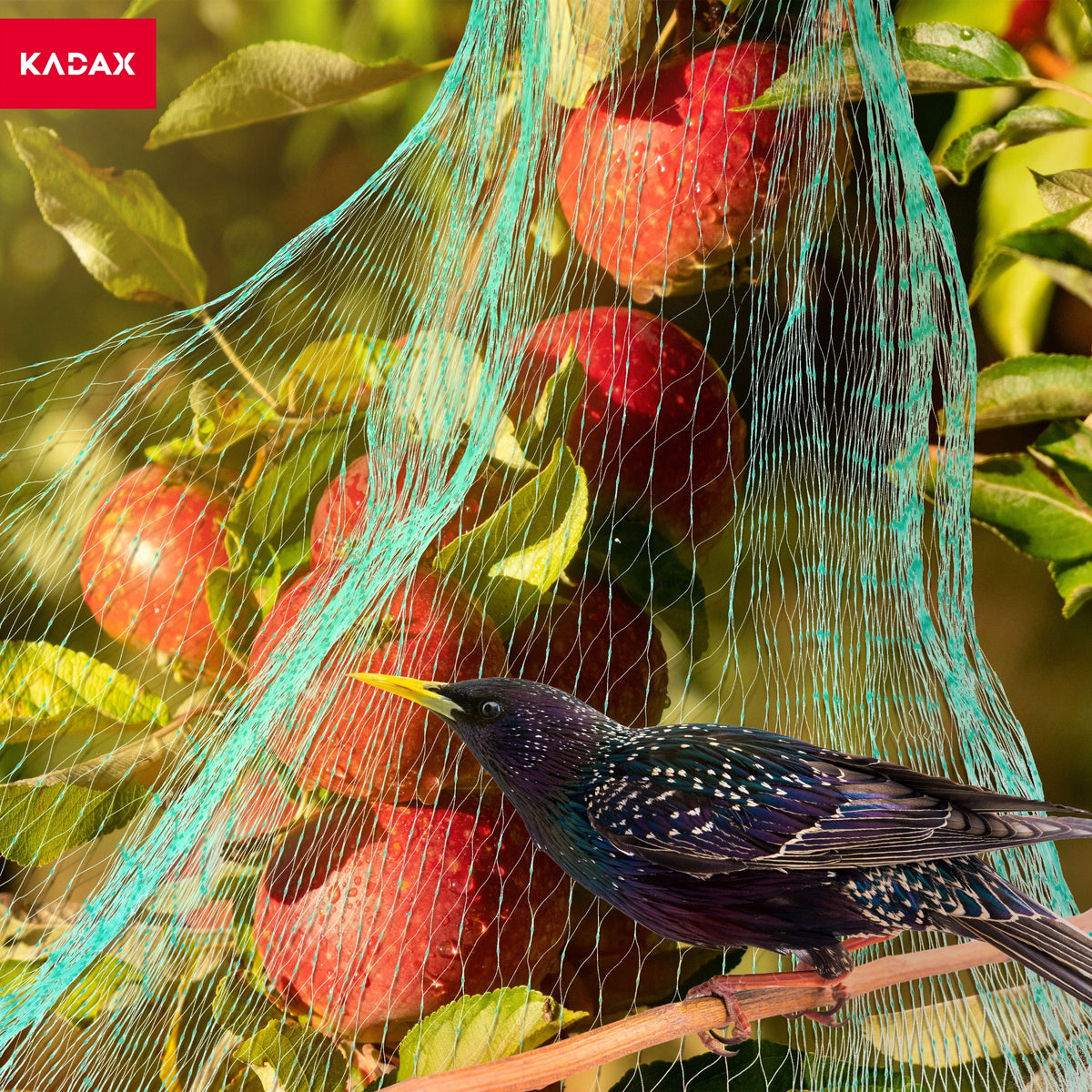 PROTECTIVE NET FOR BIRDS AGAINST BIRDS STARLINGS PIGEONS STRONG COVER 2x10m Brand Kadax