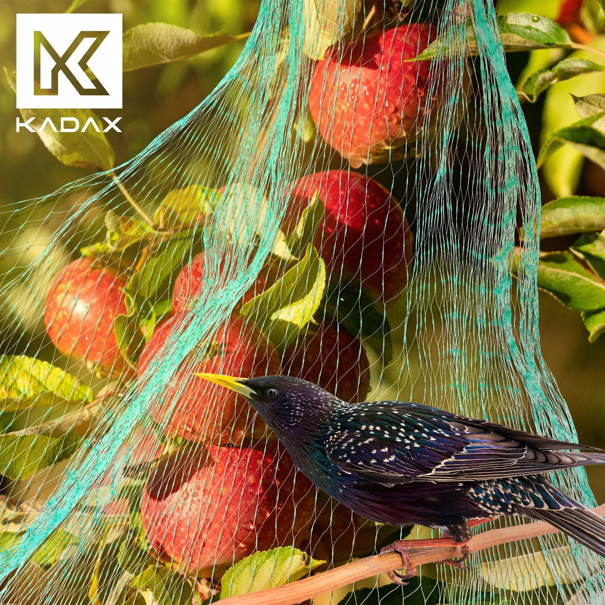 PROTECTIVE NET FOR BIRDS AGAINST BIRDS STARLINGS PIGEONS STRONG COVER 5x100m Packaging status original