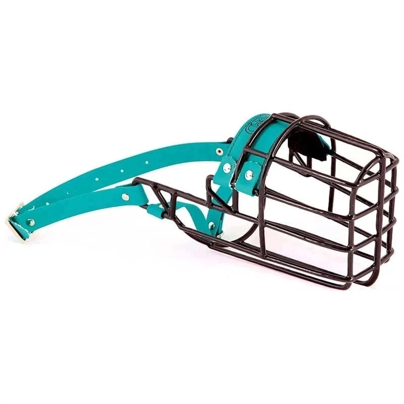 Physiological muzzle Chopo Biothane Collie Basset Belgian Shepherd Bitch