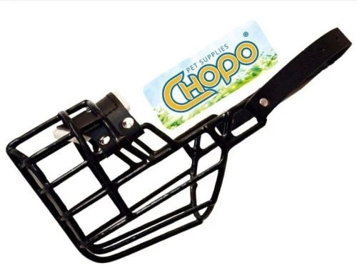 Physiological muzzle Chopo Dalmatian Labrador Husky Hound Dog