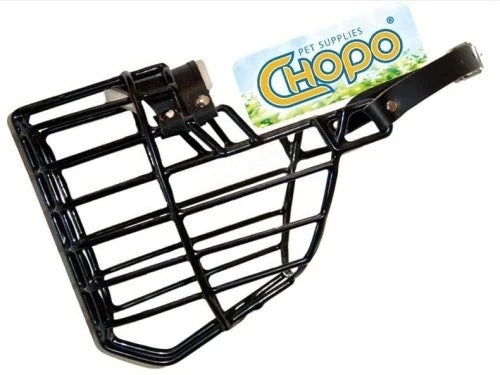 Physiological muzzle Chopo German Shepherd Malamute Kuvasz Female