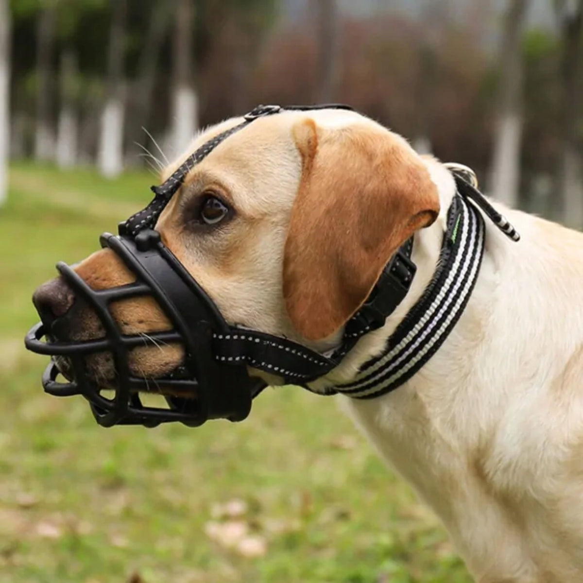 Physiological muzzle for dog rubber adjustable comfortable breathable S Packaging status original