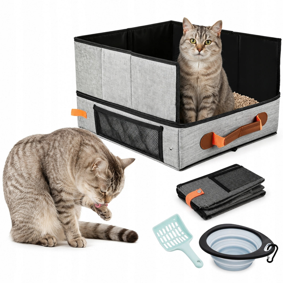 Portable cat litter box with splash-resistant partition