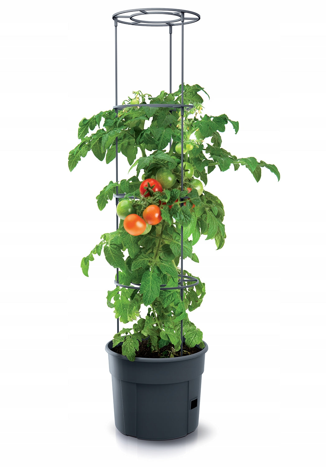 Pot for growing tomatoes IPOM300, capacity 12L