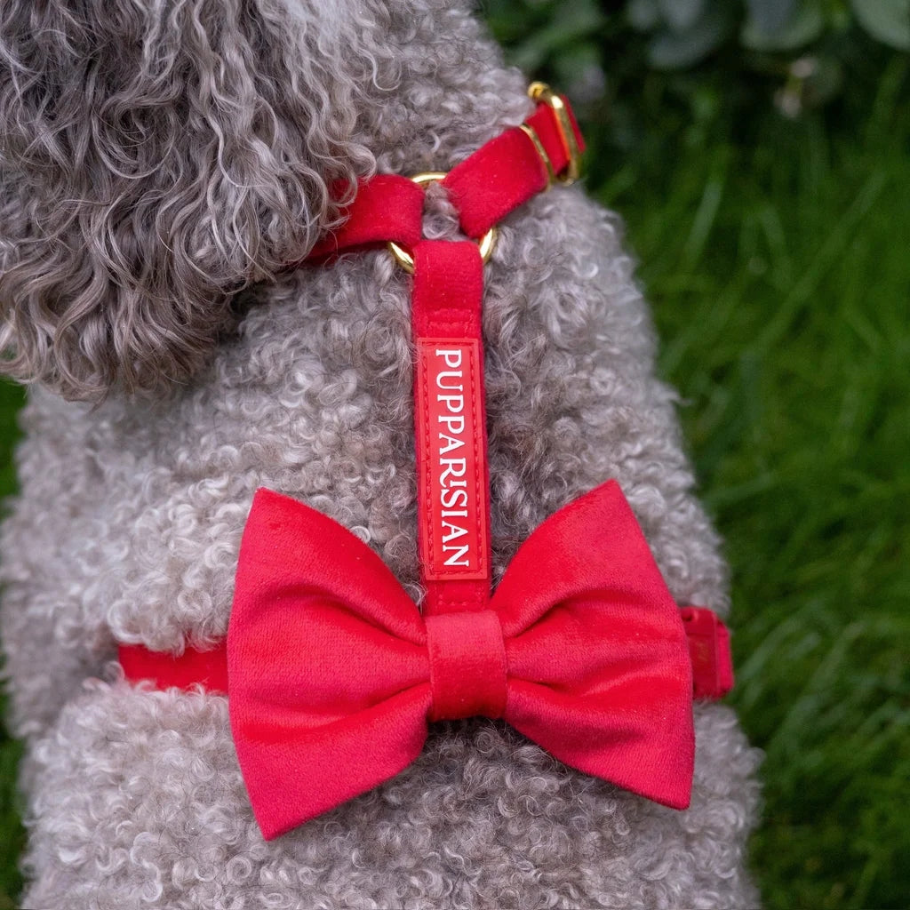 Pupparisian velour dog guard harness with bow red [S] Manufacturer code 5907220440430