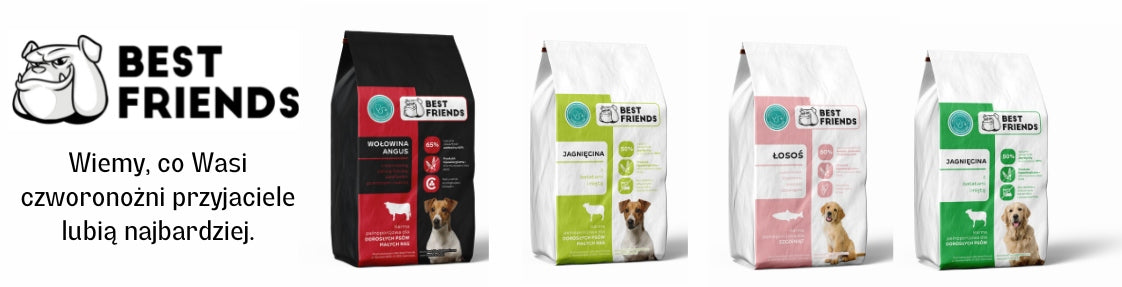 Puppy food, Golden, Labrador, Terrier, Husky, Salmon 60%, 6kg Brand Best Friends