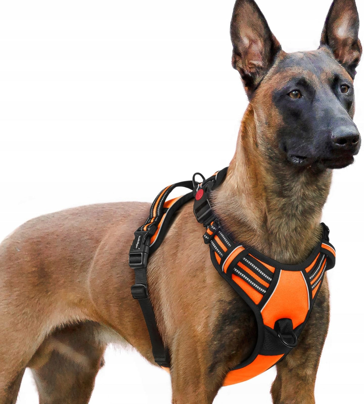 RABBITGOO DOG HARNESS ANTI-DRAG REFLECTIVE