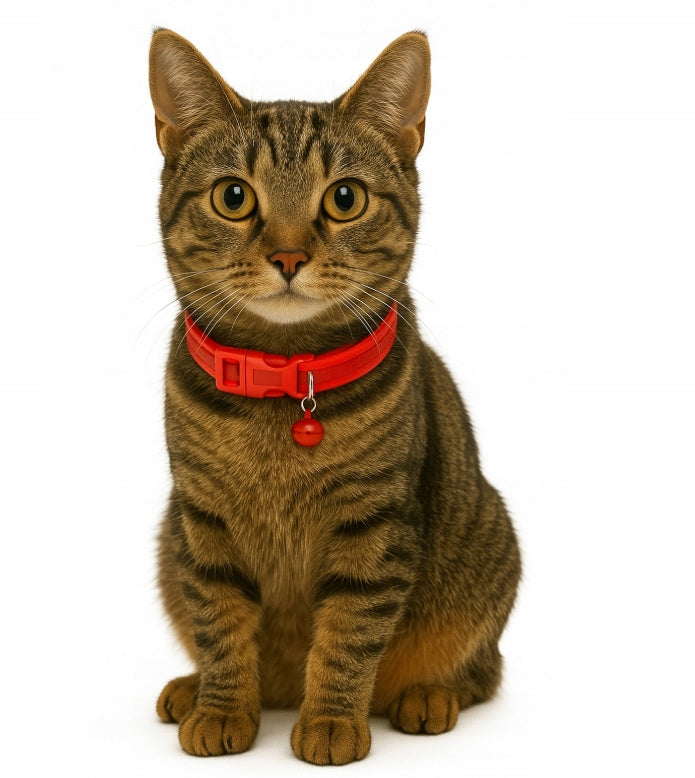 REFLECTIVE Cat Dog COLLAR with Bell Adjustable Random Color Manufacturer code 5906549682194